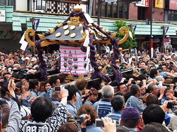 Lễ hội Sanja Festival, Tokyo
