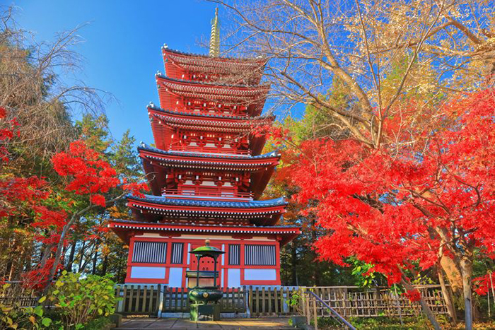 Mùa lá đỏ ở Nhật Bản