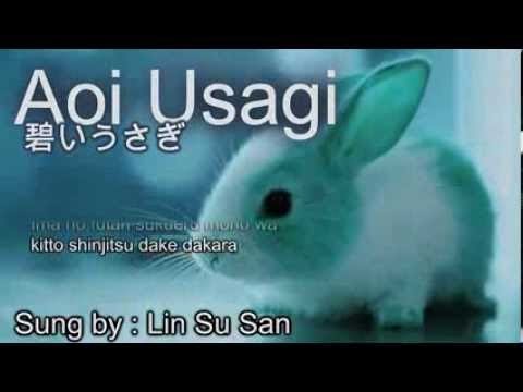 Học tiếng Nhật qua bài hát hay Aoi usagi