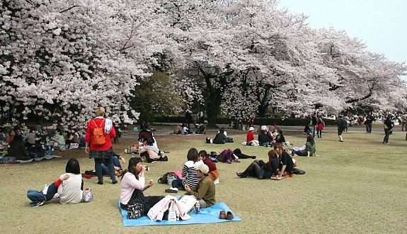 Điểm danh 5 địa điểm ngăm Hoa Anh Đào cực “CHẤT” tại Tokyo