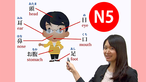 Bí kĩ: học tiếng Nhật online N5 hiệu quả?