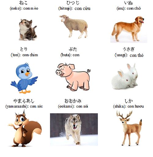 Tự học tiếng Nhật online chủ đề động vật