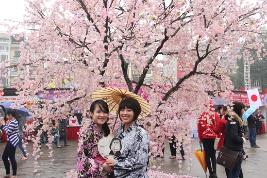 Lễ hội Hanami đón mùa xuân tại Nhật Bản có gì thú vị?