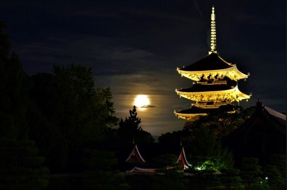 Lễ hội ngắm trăng Tsukimi hay Otsukimi Nhật Bản 