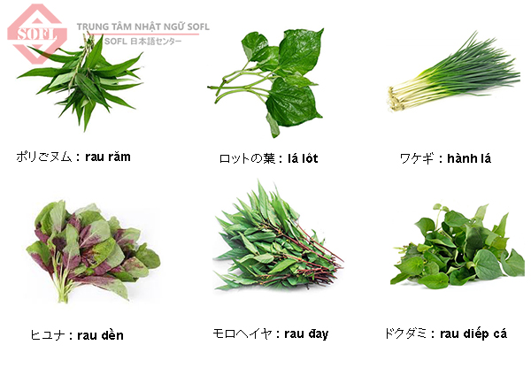 Tên các loại rau Việt Nam trong tiếng Nhật