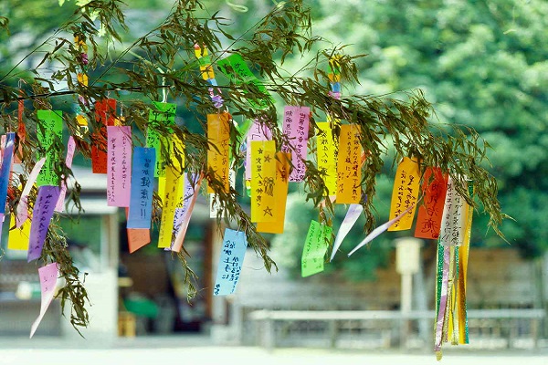 lễ tanabata diễn ra thế nào ở Nhật