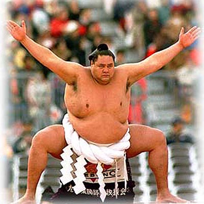 Sumo Nhật Bản.